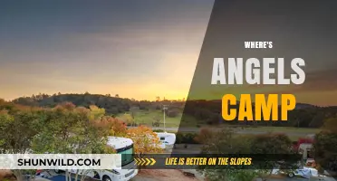 Discovering Serenity: A Journey to Angels Camp