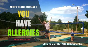 Allergy-Friendly Boot Camps: Top Picks for a Healthy Fitness Journey