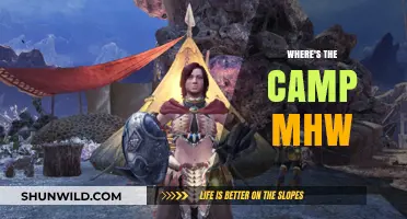 Unveiling the Mystery: Where's the Camp in Monster Hunter World?