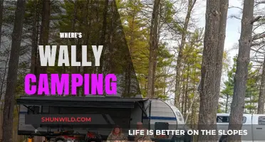 Where's Wally Camping: A Hilarious Outdoor Adventure Awaits!