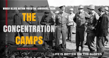 Allied Forces' Liberation: Rescuing Survivors from Nazi Concentration Camps