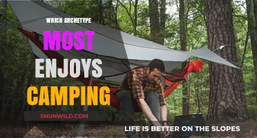 Exploring the Great Outdoors: Which Archetype Thrives in Camping Adventures?