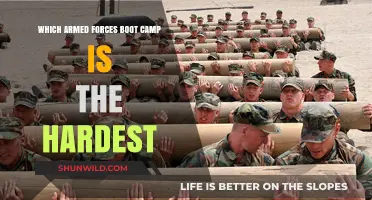 The Ultimate Challenge: Ranking the Toughest Armed Forces Boot Camps