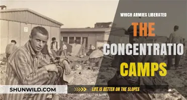 Liberation of Concentration Camps: Allied Forces' Role in Ending Nazi Atrocities