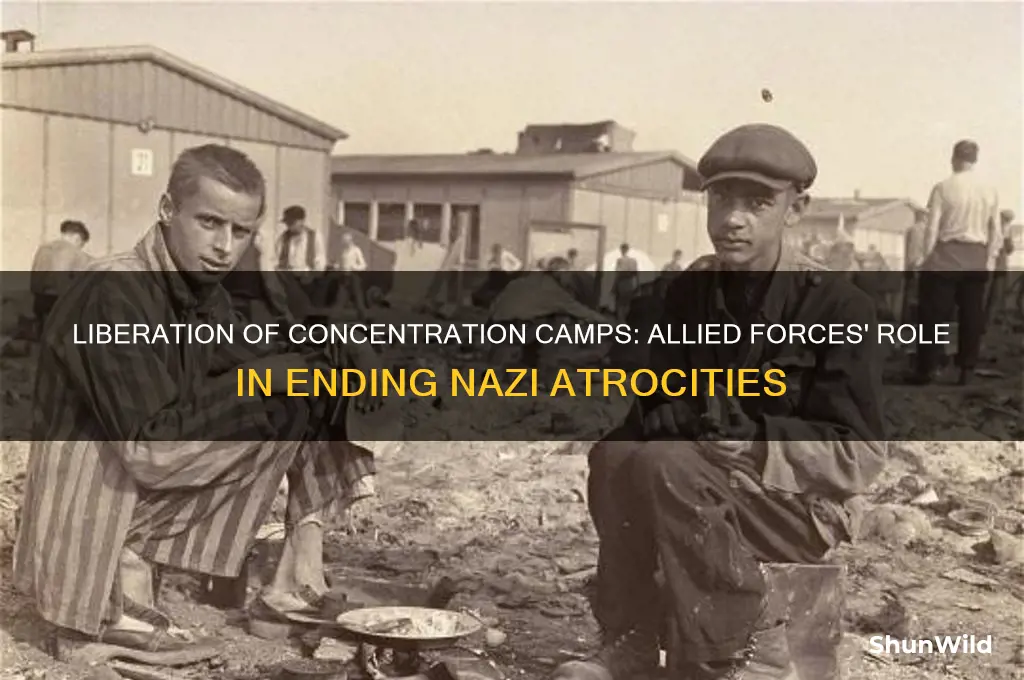 which armies liberated the concentration camps