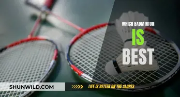 Badminton Racket Buying Guide: Choosing the Best