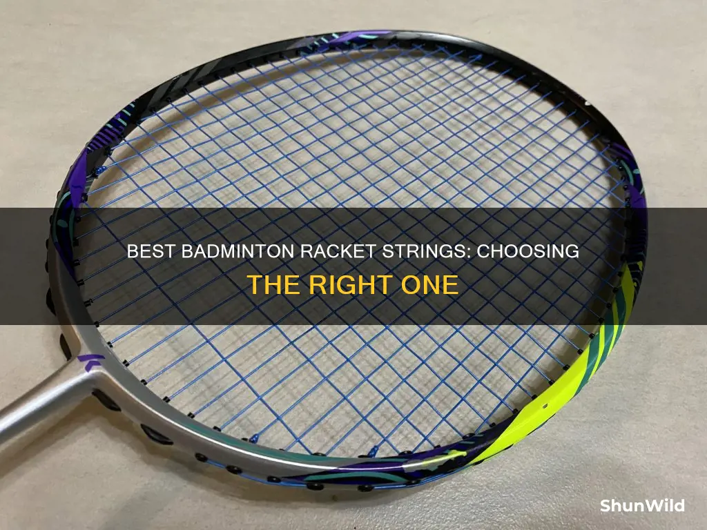 which badminton racket string is best