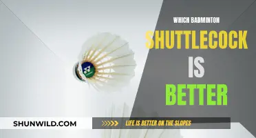 Shuttlecock Showdown: Which Birdie is Best?
