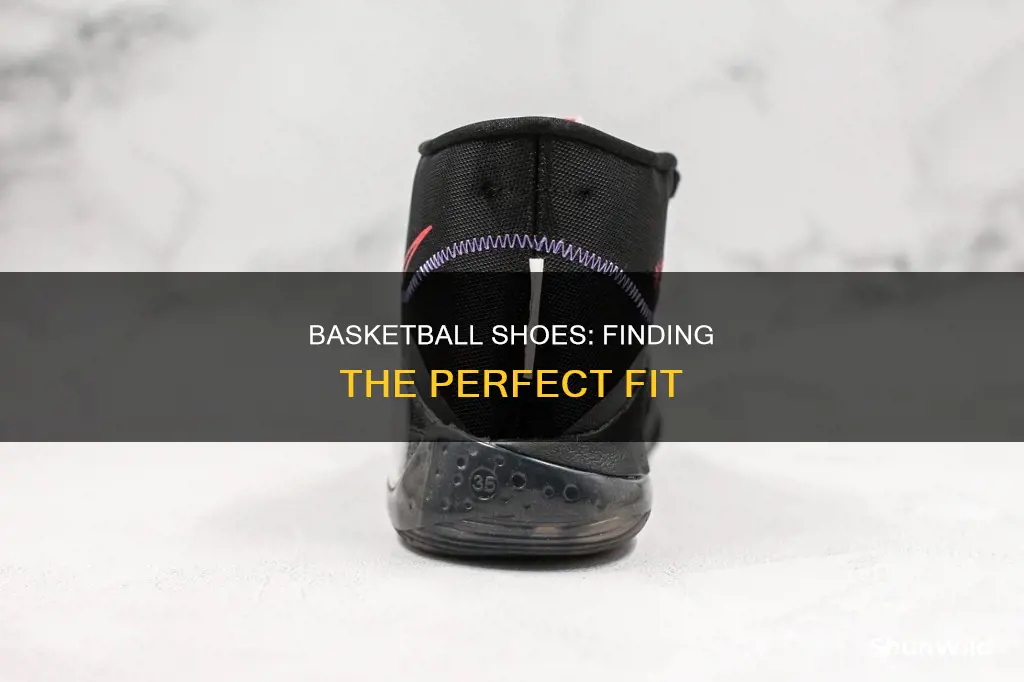 which basketball shoe is right for me