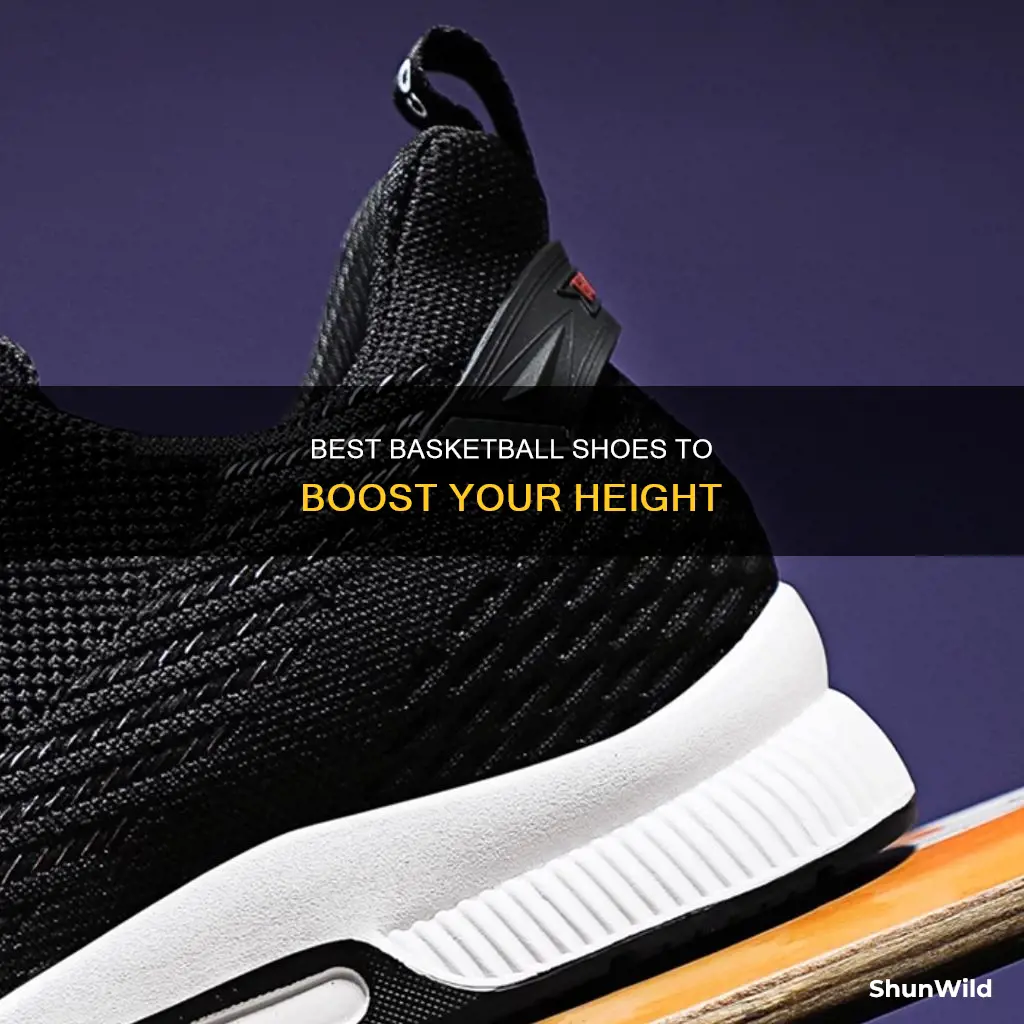 which basketball shoes make you taller