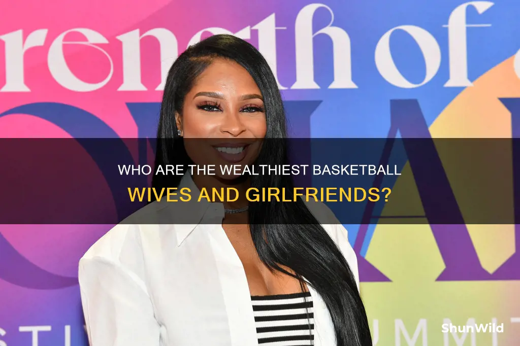 which basketball wives has thw mosy money