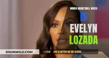 Evelyn Lozada: Basketball Wives Star, Explained