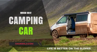Exploring the Great Outdoors: A Guide to Choosing Your Perfect Camping Car