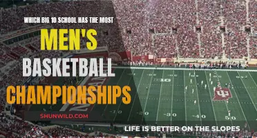 Big Ten Men's Basketball: Championship Glory