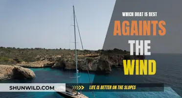 Sailing Against the Wind: Choosing the Right Boat