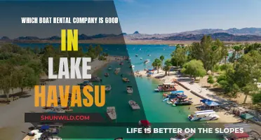 Lake Havasu Boat Rentals: Top Companies for Your Trip