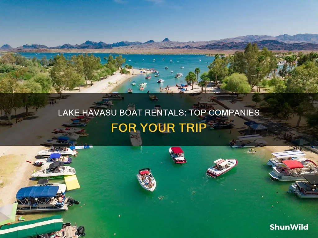 which boat rental company is good in lake havasu