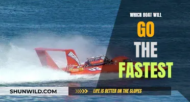 Factors Affecting Boat Speed Performance