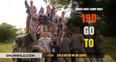 Understanding the Boot Camp Assignment for MOS 19D Cavalry Scouts