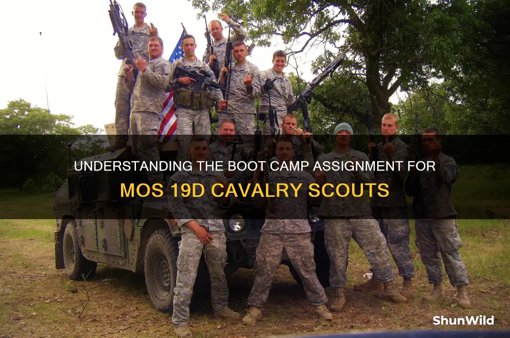 which boot camp does 19d go to