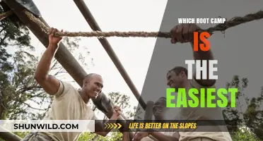 Finding the Least Challenging Boot Camp: A Beginner's Guide to Ease