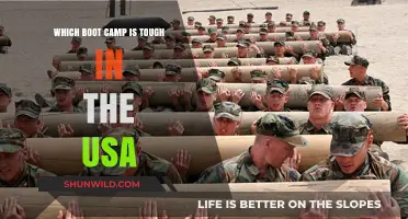 America's Toughest Boot Camps: Which One Pushes Recruits the Hardest?