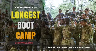 Comparing Military Boot Camps: Which Branch Demands the Longest Training?