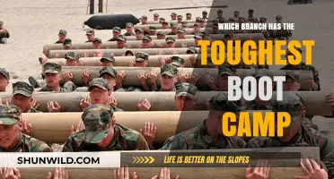 Which Military Branch Has the Toughest Boot Camp?