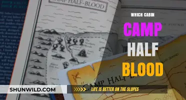 Unveiling the Secrets of Cabin Camp Half-Blood: A Journey Begins
