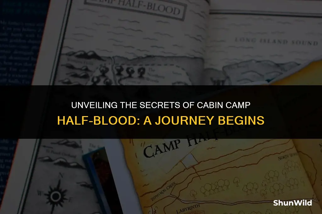 which cabin camp half blood