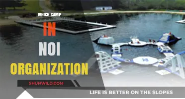 Exploring the Best Camps in the Noi Organization: A Comprehensive Guide
