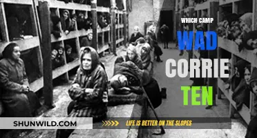 Exploring the Mystery: Which Camp Was Corrie Ten?