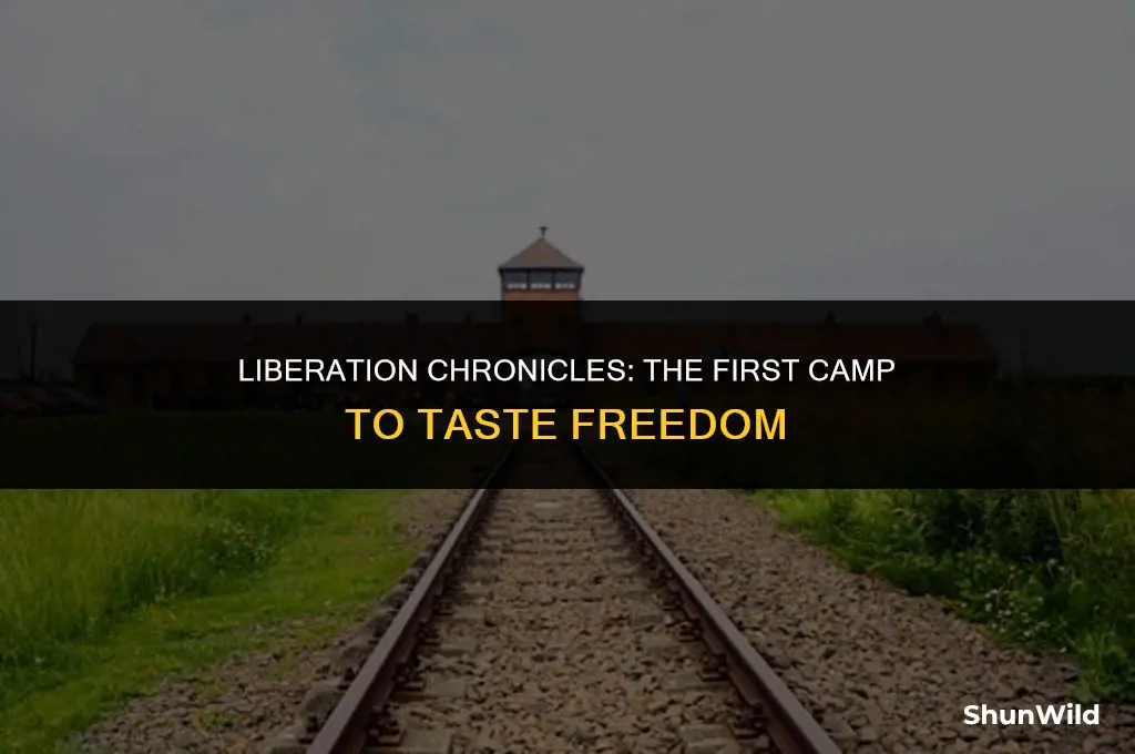 which camp was liberated first