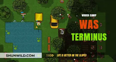 Unraveling the Mystery: Which Camp Terminus Really Was