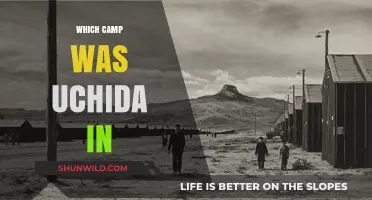 Unveiling Uchida's Camp: A Journey Through History and Allegiance
