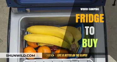 Choosing the Perfect Camping Fridge: A Buyer's Guide