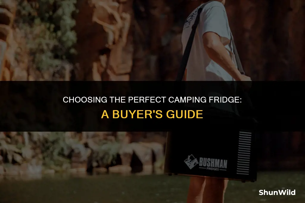 which camping fridge to buy