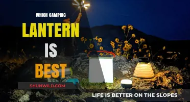 Brightening Your Outdoor Adventure: The Ultimate Guide to Choosing the Best Camping Lantern