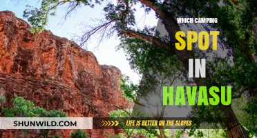 Discovering the Perfect Camping Spot in Havasu: A Comprehensive Guide