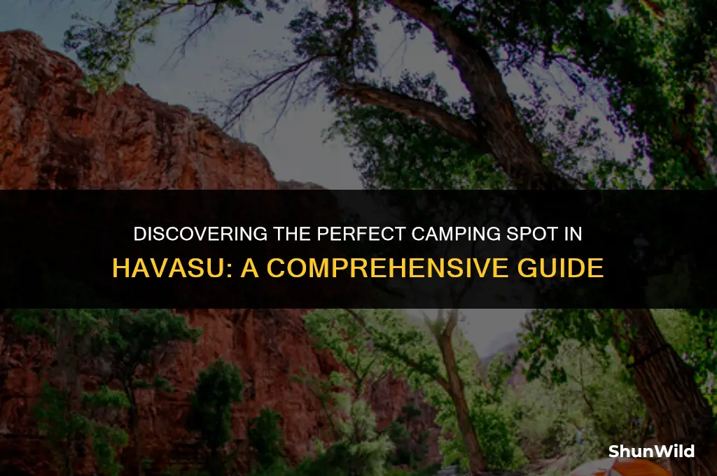 which camping spot in havasu