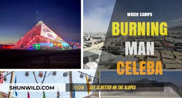Exploring the Camps: A Burning Man Celebrity Guide