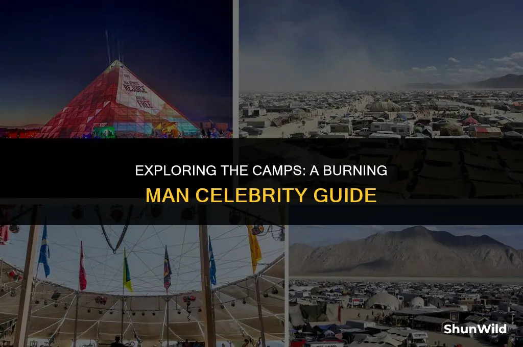 which camps burning man celeba