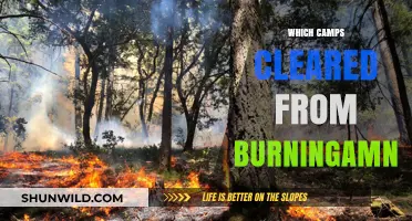Post-Fire Recovery: Clearing Camps and Rebuilding Hope in Burning Man's Wake