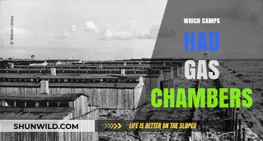 Unveiling the Horrific Truth: Camps with Gas Chambers Revealed