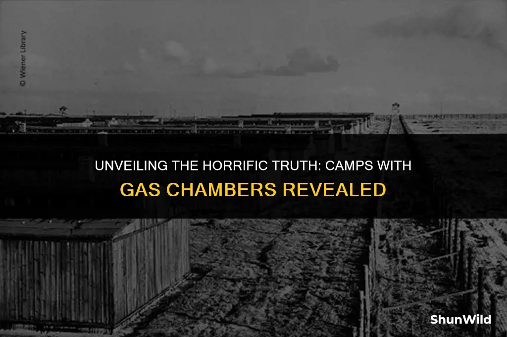 which camps had gas chambers