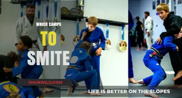 Strategic Takedowns: Camps to Target for Maximum Impact