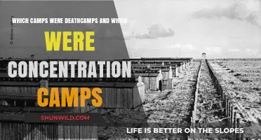 Death Camps vs. Concentration Camps: Understanding the Differences and Horrors