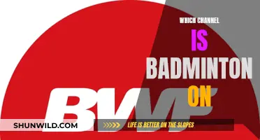 Where to Watch Badminton: TV Channels Guide