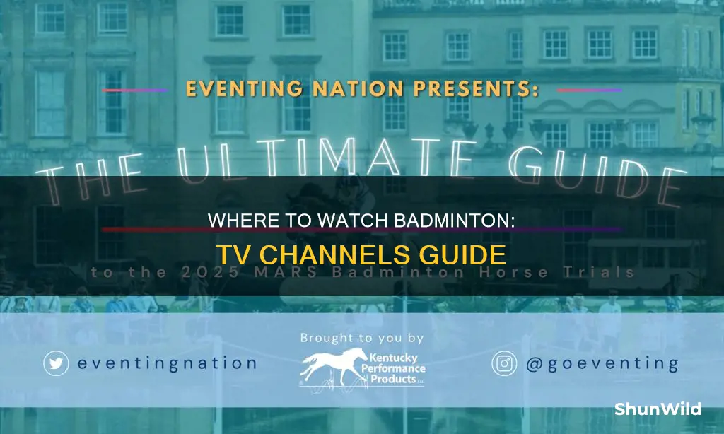 which channel is badminton on