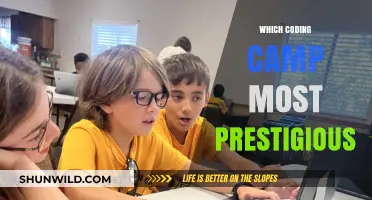 Decoding Prestige: A Comprehensive Guide to Elite Coding Camps